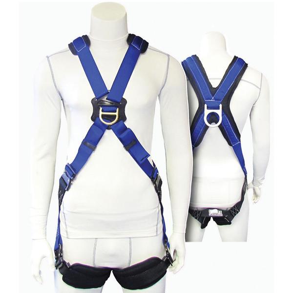 Is this harness made for RDS work